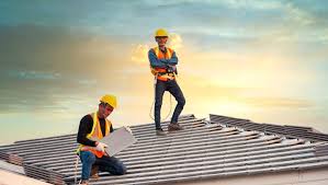 Best Roof Moss and Algae Removal  in Sunrise, FL